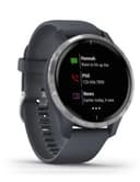 Garmin Venu GPS Silver + Generic Gray Band