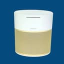 ✅ Bose Home Smart Speaker 300, Bluetooth / WiFi, Allstate Warranty, WHITE & GOLD
