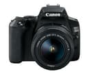 Canon EOS 250D (Rebel SL3) DSLR Camera w/ 18-55m DC Lens (International Model)