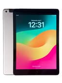 Apple iPad 6 6th Gen A1954 32GB, WiFi + Cellular  9.7in Space Gray iOS 17.7